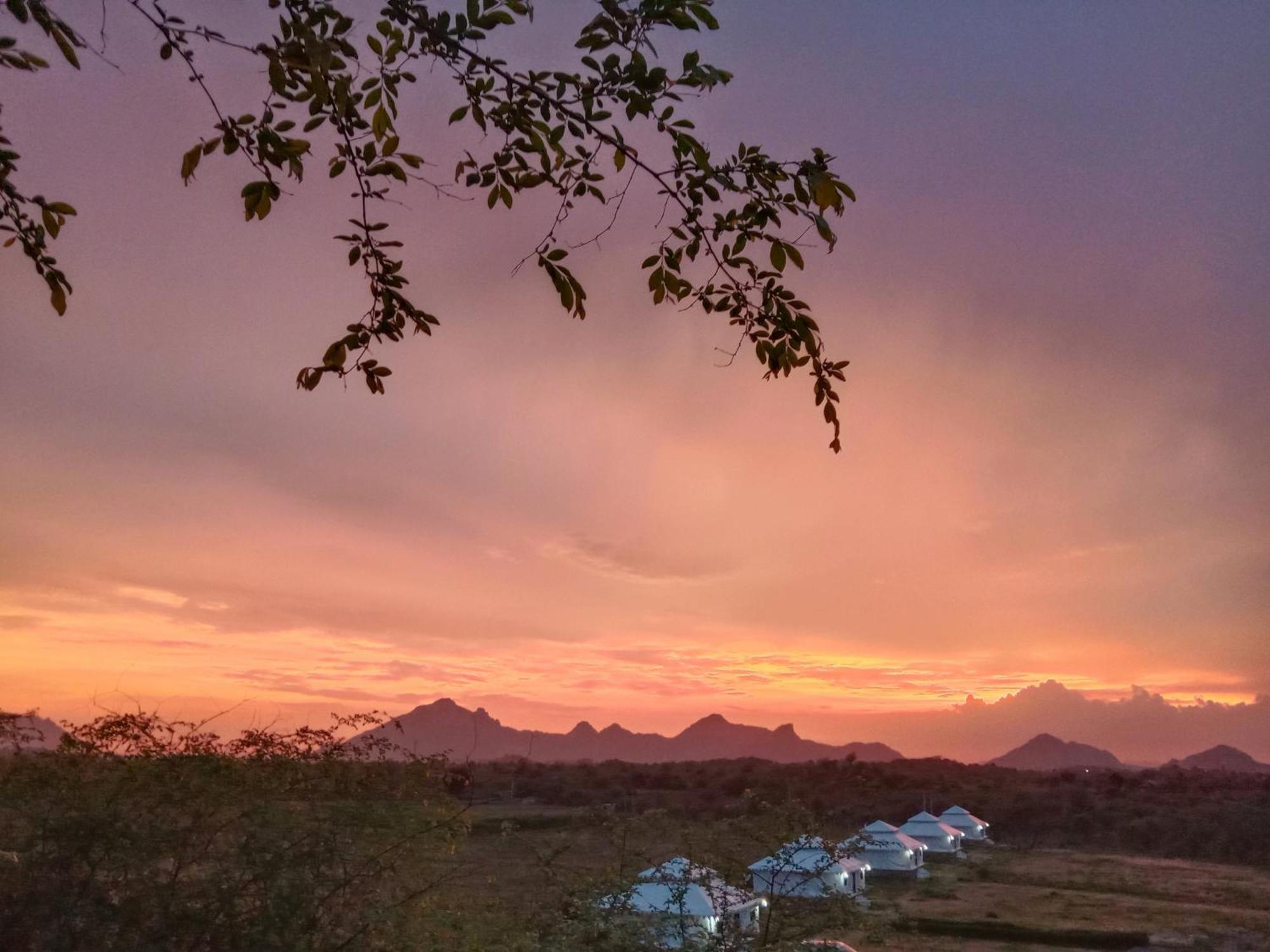 Hotel The Bagheera Bagh Jawai Bera Exterior foto