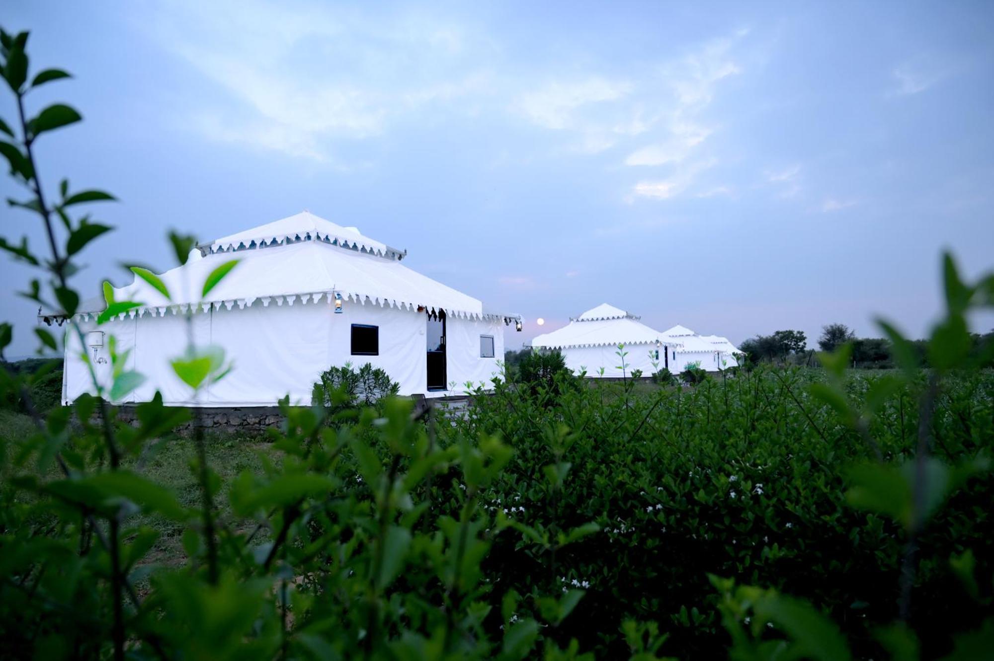 Hotel The Bagheera Bagh Jawai Bera Exterior foto